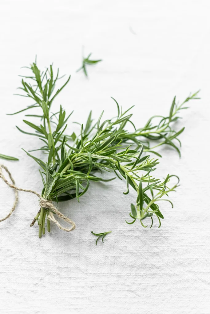 Rosemary Seeds