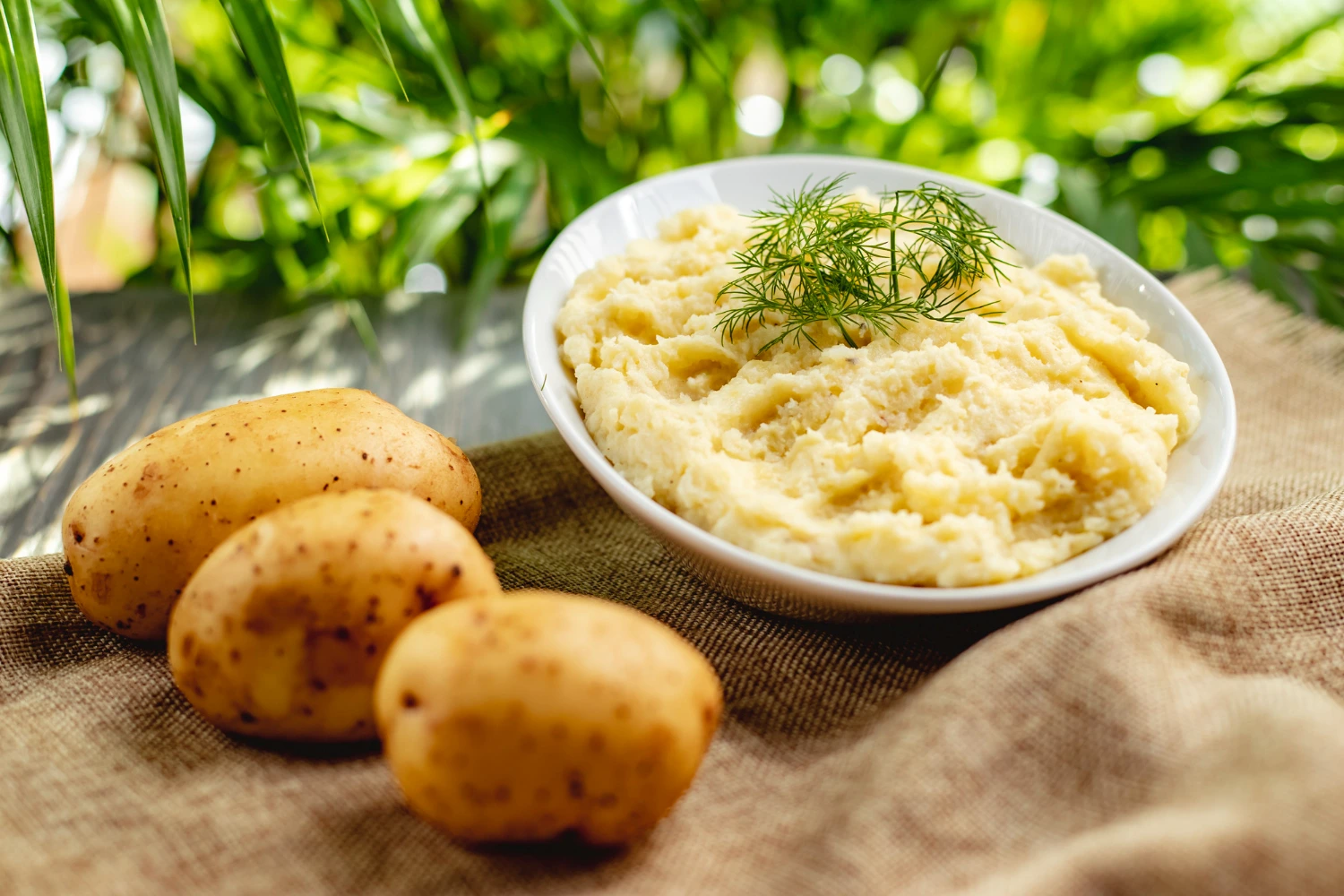 mashed potatoes